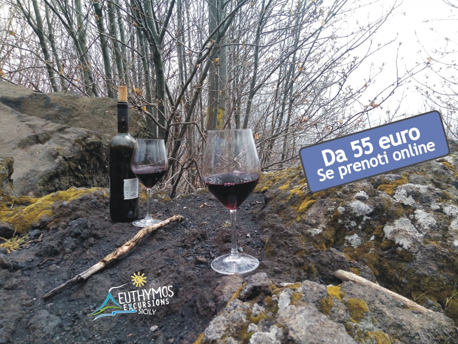 Escursione Etna e vino con degustazione di prodotti tipici
