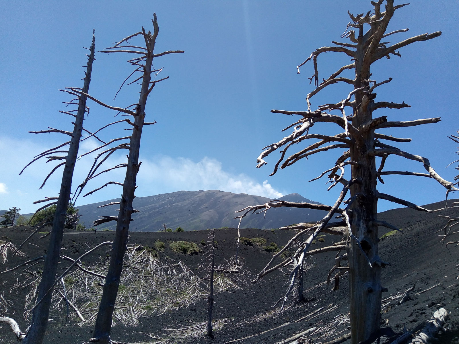 euthymos excursions etna cosa vedere