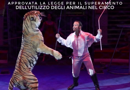 Approvata la legge per il superamento dell’utilizzo degli animali nel circo
