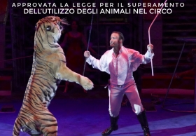 Approvata la legge per il superamento dell’utilizzo degli animali nel circo