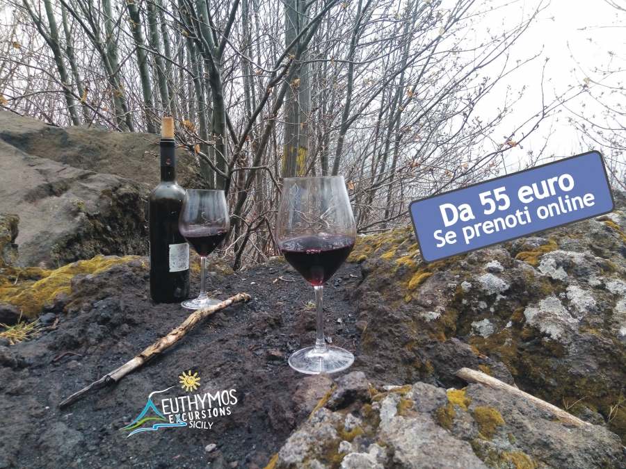 Excursión etna y vino con degustación de productos típicos.