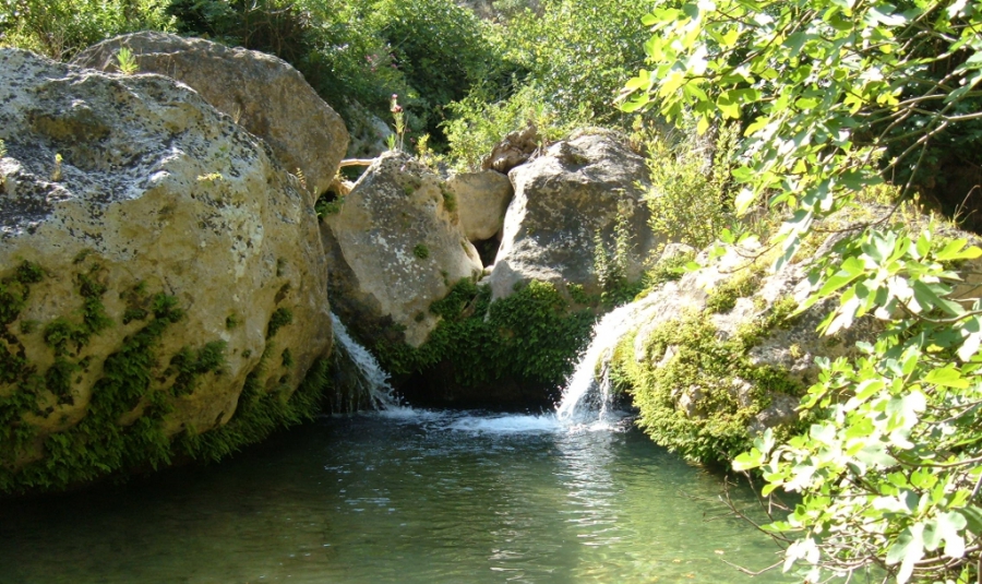 Cavagrande and surroundings