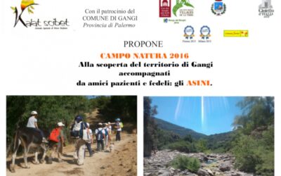 Campo Natura 2016: Con asini a Gangi