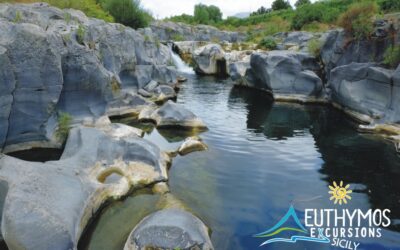 Ecoterapia: come curarsi con la natura