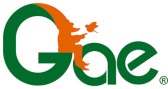 imgi_3_logo_GAE